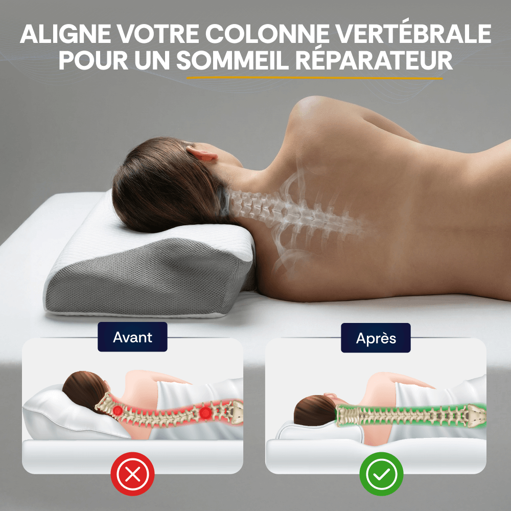 Visuel Maison Morphée